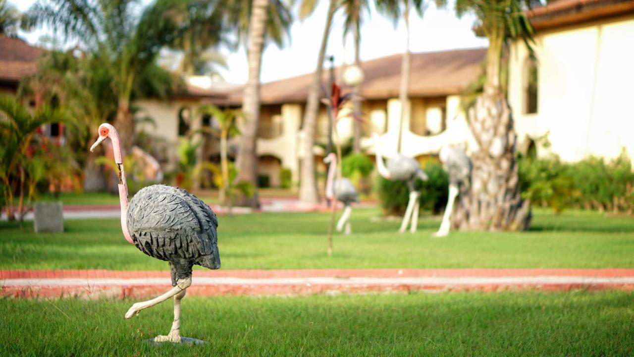 Ocean Bay Hotel & Resort Bakau Exterior foto